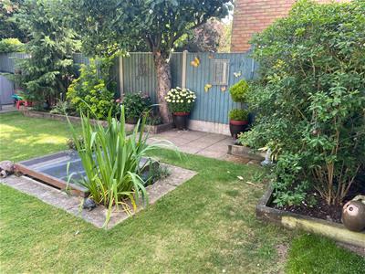 Picture 29